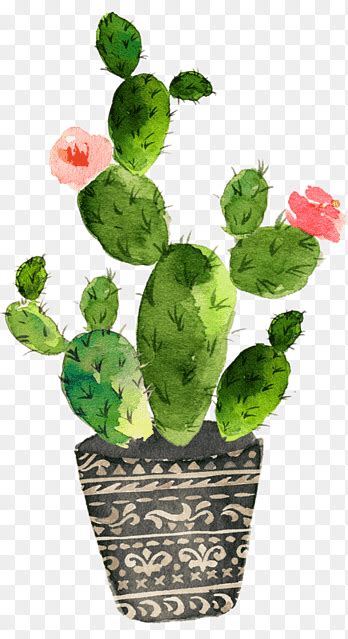 Ilustración de cactus verde y multicolor flores acuarela acuarela