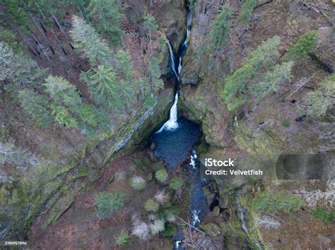 aerial   beautiful wahclella falls  oregon stock photo