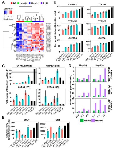 Generation Of Human Hepatic Progenitor Cells With Regenerative And