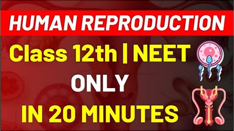 Human Reproduction Part 1 Biology Class 12 Neet Ncert Dr Shishir Srivastava Sir