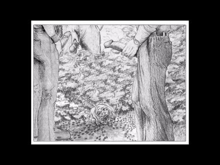 Drawings Hotntubes Porn