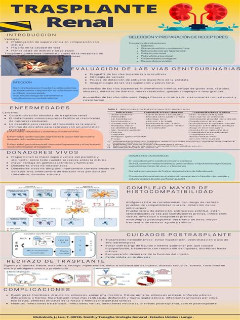 Trasplante Renal | PDF | Trasplante de riñón | Órgano (anatomía)