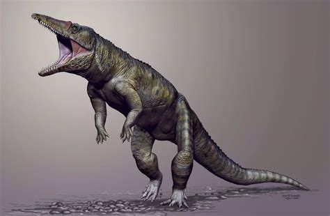 Un Ancestro Del Cocodrilo Fue El Mayor Depredador Antes De Los Dinosaurios