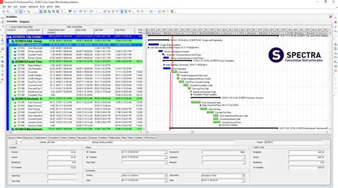 Primavera P6 vs Project Gestión de Proyectos Spectra Ingeniería