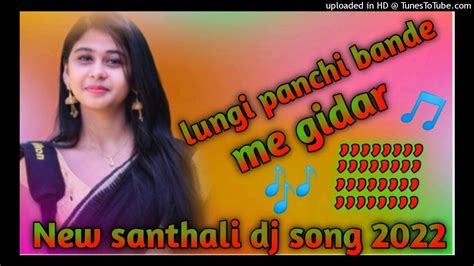 Lungi Panchi Bande Gidar 🌸new Santhali Dj Song 🌸 Dj Birsa Butgodwa