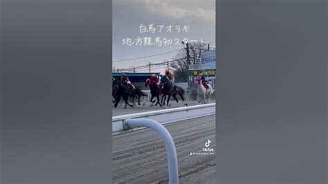 白馬アオラキ地方競馬転入初戦 #競馬 #アオラキ #笠松競馬 #笠松競馬場 #白馬 #白毛 - YouTube