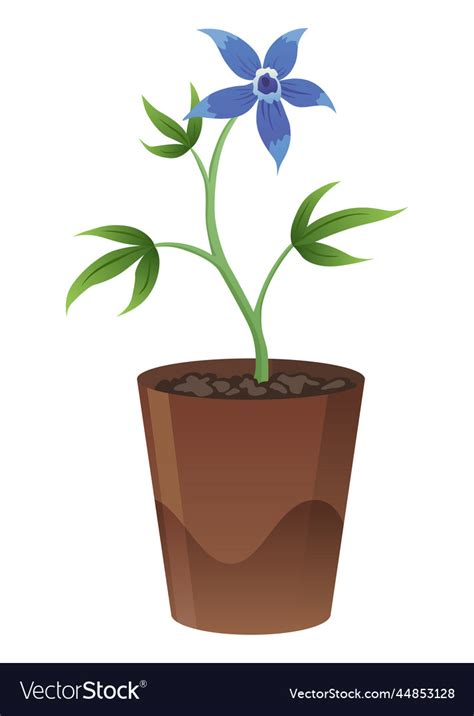 Flower Growth Stage In Brown Pot On White Vector Image