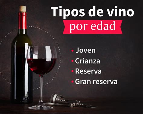 Guía sobre tipos de vino características y variaciones Aprende