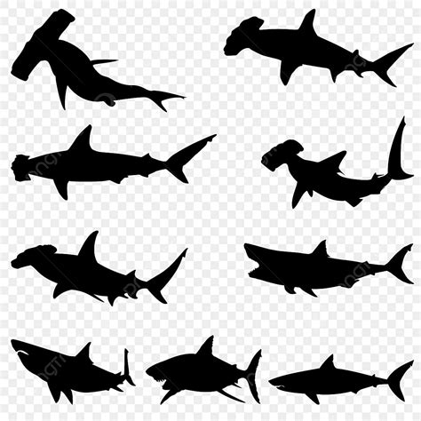 Shark Silhouette Png And Vector Images Free Download Pngtree
