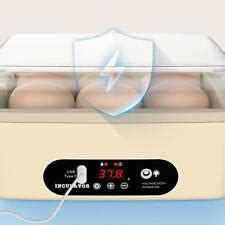 120 Eggs Incubator Digital Hatcher With Automatic Egg Turning