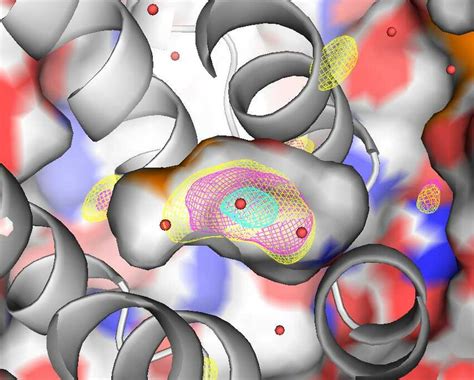 1 Electron Density In The Cavity Of T4 Lysozyme Mutant L99a To Download Scientific Diagram