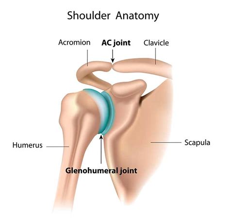 ORIF Surgery for Proximal Humerus Fracture - Open Reduction Internal ...