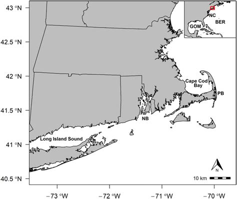 Map Of New England Coastline All Cold Stunned Kemps Ridleys Were