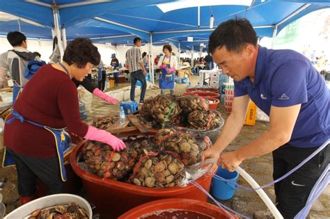 고성군 25일 가리비 수산물 축제 개막