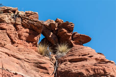 Free Images Landscape Tree Nature Rock Wilderness Mountain