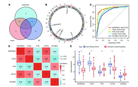 Identification Of Potential Diagnostic Biomarkers For ICM A Venn