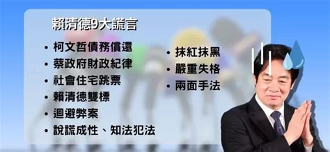 揭露賴清德總統辯論會9大謊言！ エリカ的沙龍