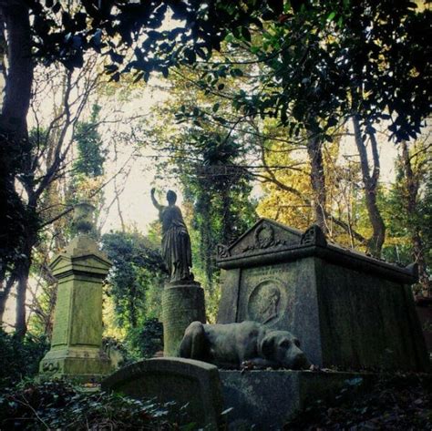 The Worlds Scariest Cemeteries