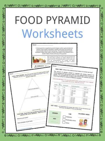 Food Pyramid Facts Worksheets Origin Information Worksheets Library