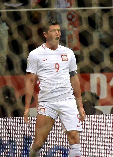 Polands Robert Lewandowski Celebrates After His Editorial Stock Photo