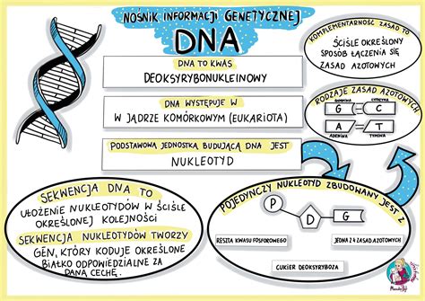 No Nik Informacji Genetycznej Dna Sketchnotka Klasa Z Oty