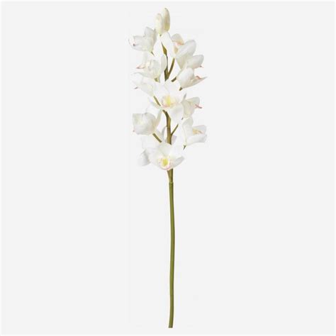 Sia Green Shop Orchid E Cymbidium Artificielle Cm Blanche Habitat