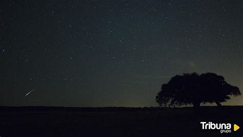 La Noche Mágica De Las Perseidas Se Acerca Cómo Y Cuándo Ver La Lluvia De Estrellas Tribuna