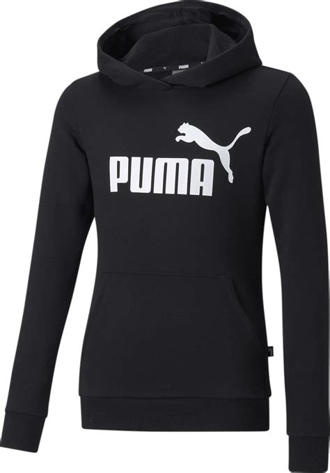 Puma Essentials Logo Hoodie Tr G Sportfits Shop