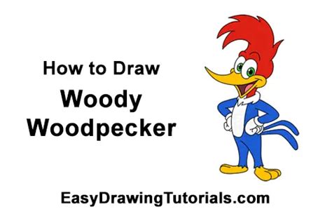 draw woody woodpecker step  step pictures