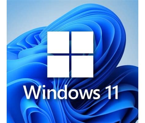 Microsoft Windows 11 Pro 64bit HUN USB BOX Operativni Sistem Softver