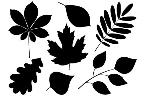 Set silhouettes of autumn leaves rowan maple oak chestnut chestnut black color vector ...