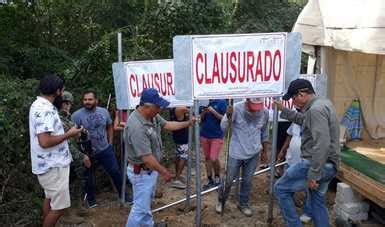 Profepa Repone Sellos De Clausura En El Estero La Lancha En El