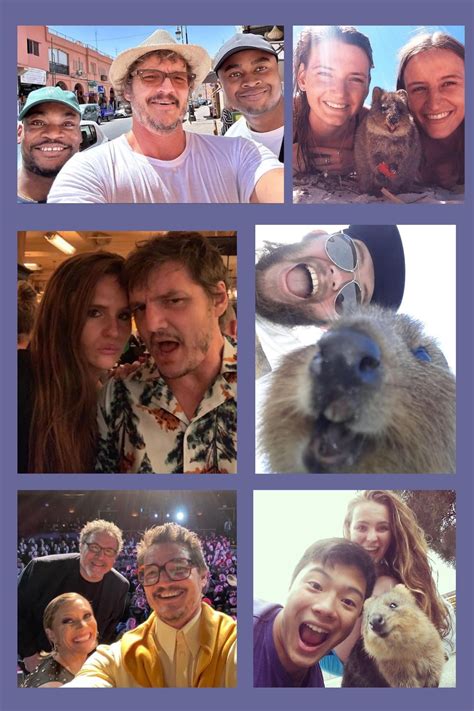 Pedro selfies and quokka selfies : r/Pedro_Pascal