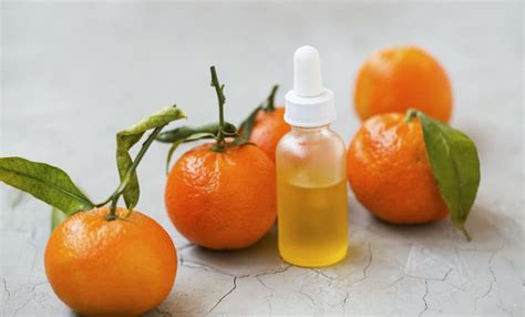 Ingredient Spotlight: Clementine - Plant Guru