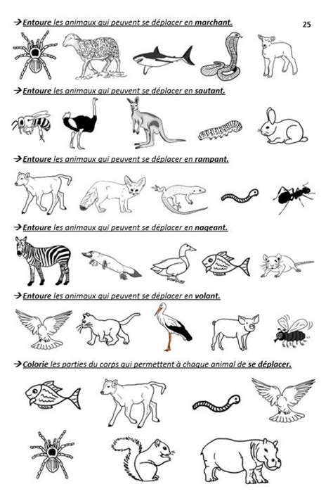 Questionner Le Monde Du Vivant Au Cycle 2 Sciences CE1 CE2 CP Pour