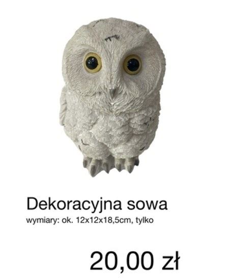 Dekoracja KIK Promocja KIK Ding Pl