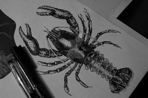 Lobster Tattoo Design by Tarin-Moore on DeviantArt