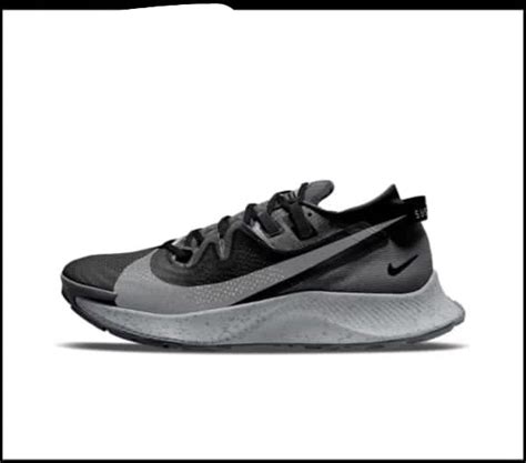 Nike Pegasus Trail 2 | Grey & Black – Dxbrunners