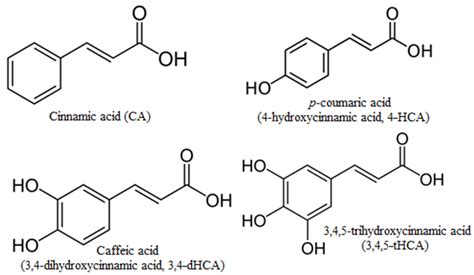 Cinnamic Acid Structure