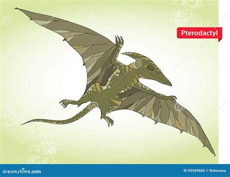 Vector Illustration Of Pterodactyl Or Wing Lizard From Suborders Of