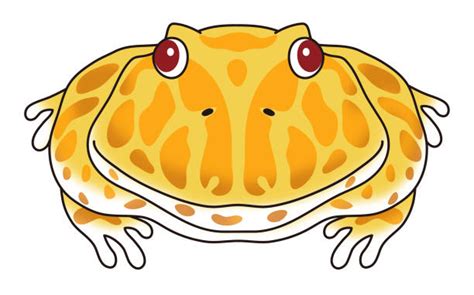 10+ Horned Frog Cartoon Stock Photos, Pictures & Royalty-Free Images ...