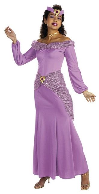 Aladdin Disney Jasmine Prestige Adult Costume Madambrightside Flickr