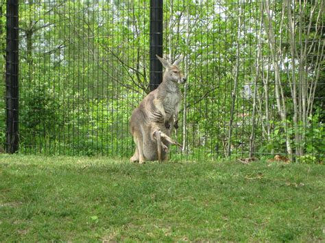 Twins in the Cities: Columbus Zoo, Ohio