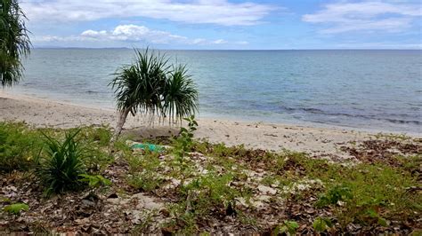 Canigao Island: Beach Walk