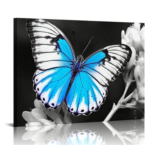 Aristuring Flower Wall Art Blue Butterfly On Daisy Floral Picture