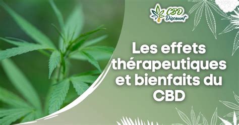 Les effets thérapeutiques et bienfaits du CBD cbddiscount fr