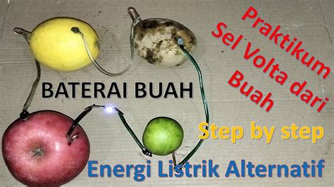 Baterai Buah Dari Lemon Kentang Jeruk Nipis Apel Praktikum Energi