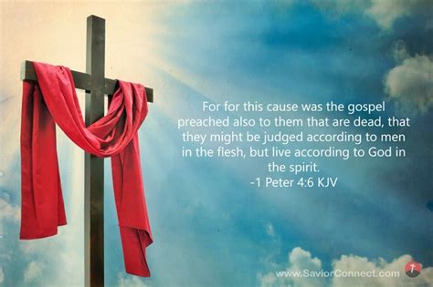 1 Peter 46 Kjv