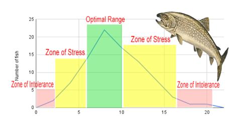 Exploring Range of Tolerance in Steelhead Trout