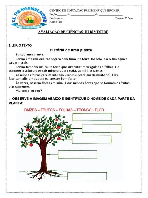 Avaliação Sobre As Plantas 2 Ano